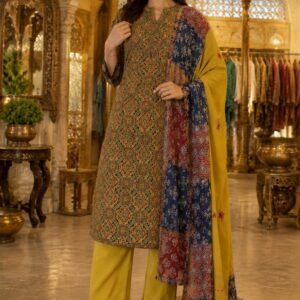 Dupatta applique work and mirror Work  All hand work
